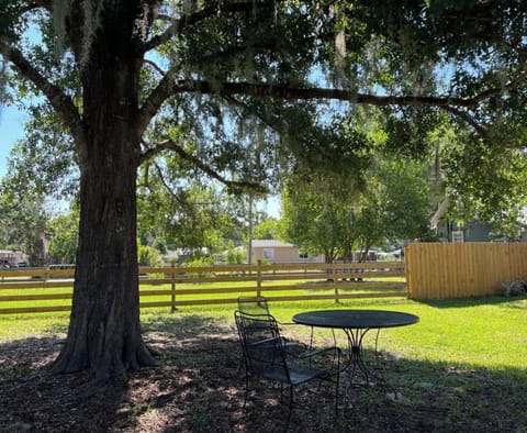 A true Florida Oak tree, will provide you & family, shade and fresh breeze : ) 