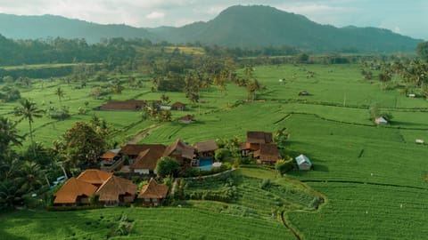 Land view from property