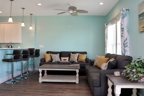 Living Room and Kitchen Bar