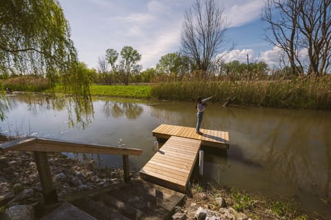 Spend your mornings nature watching. We have many visitors in the creek.