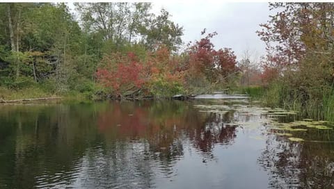 This is beautiful Parks Creek which runs at the back of the property
