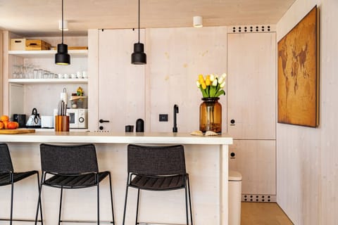 Villa | Private kitchen | Fridge, microwave, oven, stovetop