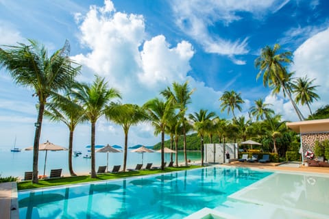 Outdoor pool, pool umbrellas, sun loungers