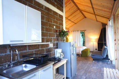 Cabin | Private kitchen | Cookware/dishes/utensils, freezer