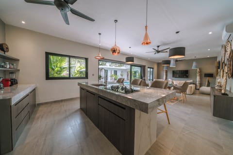 Luxury Villa | Private kitchen | Fridge, microwave, oven, stovetop