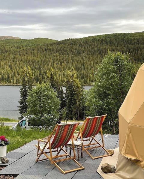 Basic Tent | Terrace/patio
