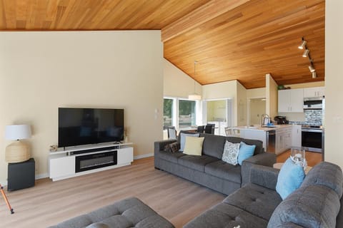 65" Roku TV perfect for a movie night