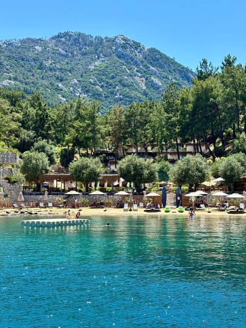 Private beach, beach bar, rowing