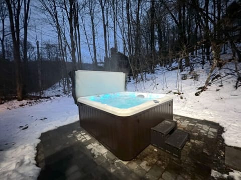 Huge 10 Person Hot Tub - Backyard