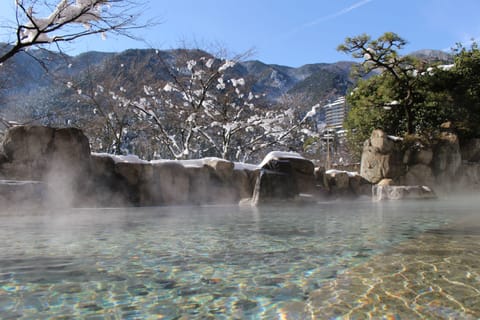 Public bath