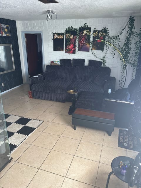 Living Room with Sofa Bed