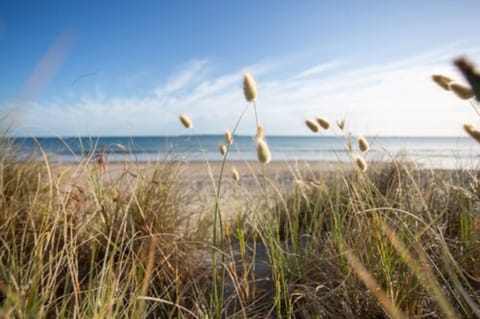 Beach nearby, white sand