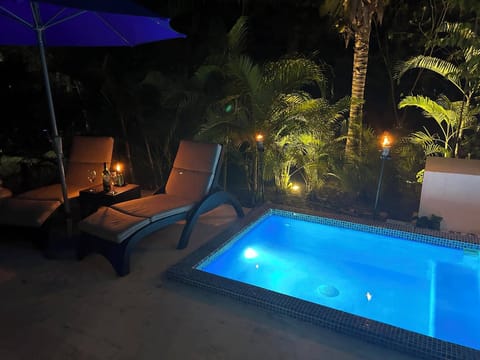 Main floor terrace with plunge pool