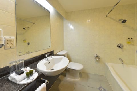 Combined shower/tub, free toiletries, hair dryer, towels