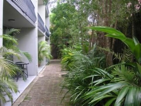 Basic Studio, Kitchenette | Terrace/patio