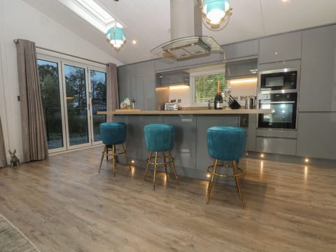 Fridge, dishwasher, electric kettle, toaster