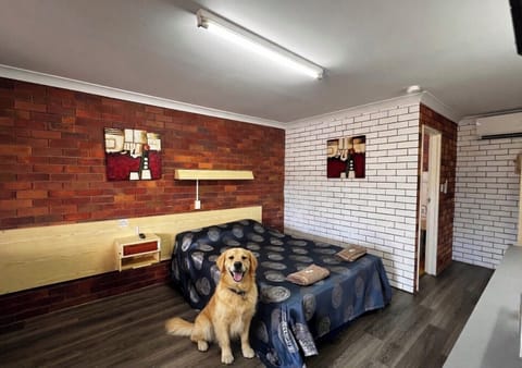 Pet-friendly