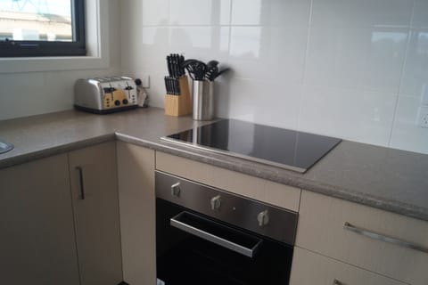 Standard Apartment, 3 Bedrooms, Kitchen | Private kitchen | Fridge, microwave, coffee/tea maker, electric kettle