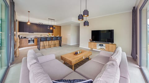 Apartment (1) | Living area | Flat-screen TV