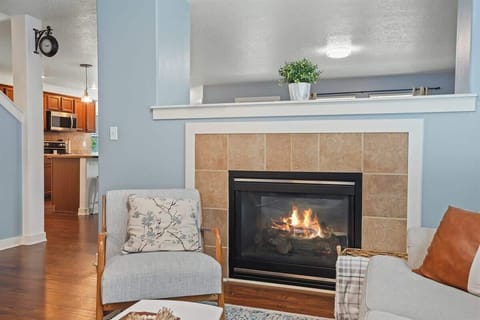 See Through Fire place