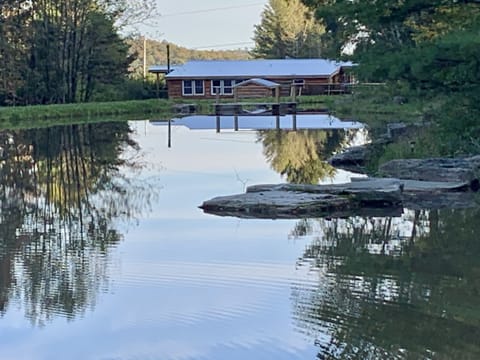 Rear view taken from back of pond.