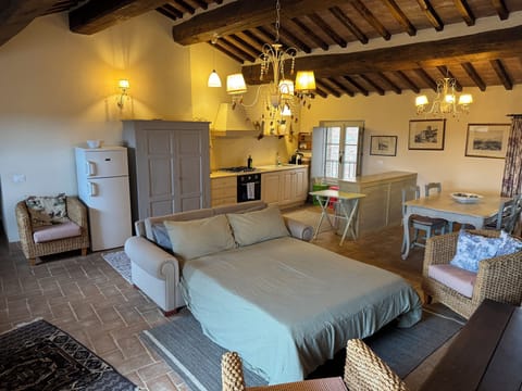 Living room with fold double fold out couch setup