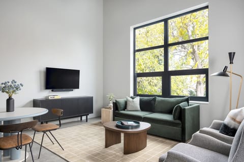 Living Room, Flat screen TV, Youtube TV, sofa bed, coffee table, 2 armchairs, field guide, credenza, Chicago books, black out shades. 