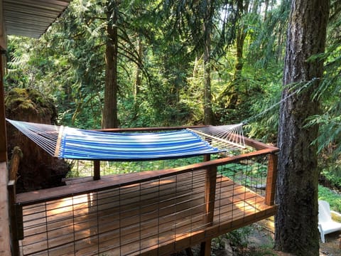 PNW hammock ready for your R&R in the Olympic National Forest!