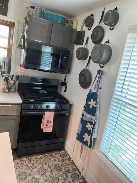 Microwave, Oven, Stove, Dehydrator, Air Fryer