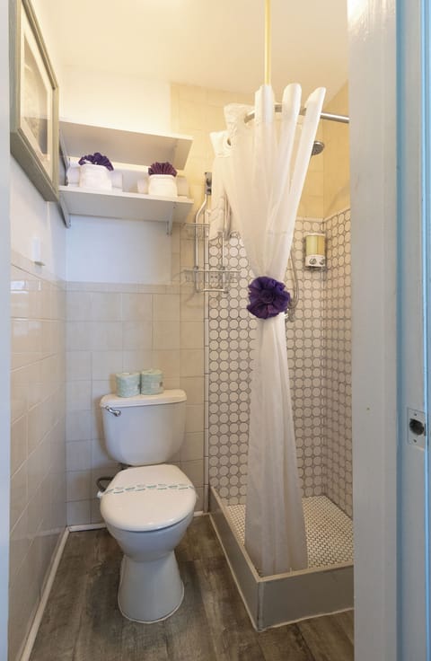 Virgin Gorda | Bathroom | Shower, hair dryer, towels