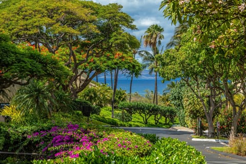 The Blue Hula at Maui Kamaole with a Ocean View