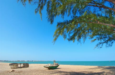 Beach bar