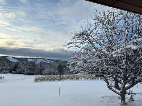 Boyne mountain in the back ground 