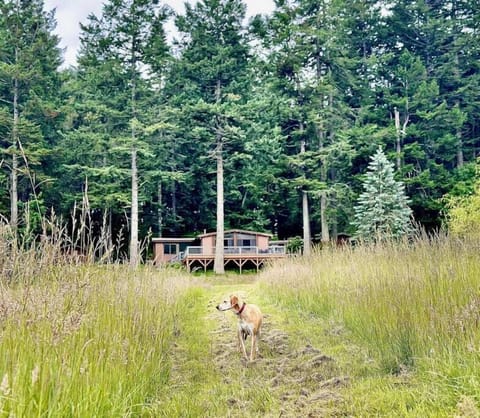 Private meadow yard with a scenic path leading directly to the beach. Pet friend
