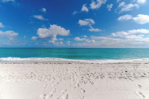 Beach umbrellas, beach towels