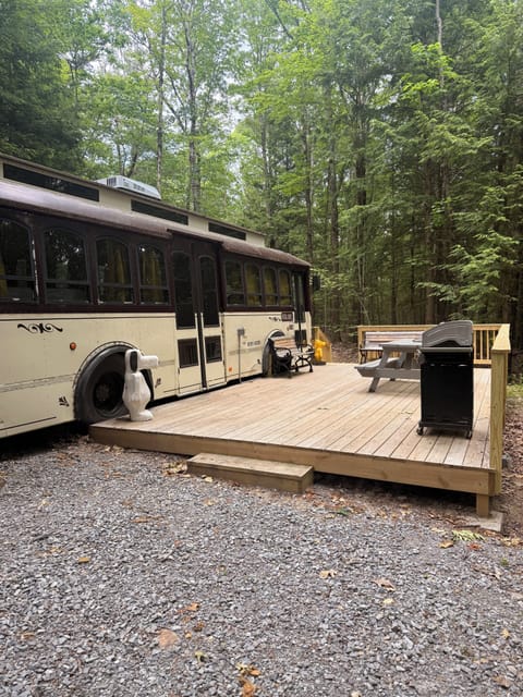 The Peanuts Trolley pays homage to the campers. When going to camp they either took The Woodstock Bus or The Snoopy Bus