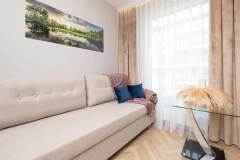 The living area features a sleek coffee table and a flat-screen television.