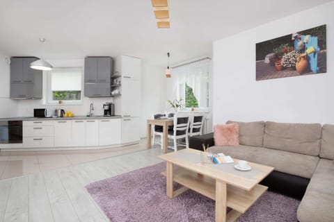 A cozy living room with a gray sofa, colorful cushions, and a bright window bringing in natural light.