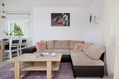 A cozy living room with a gray sofa, colorful cushions, and a bright window bringing in natural light.