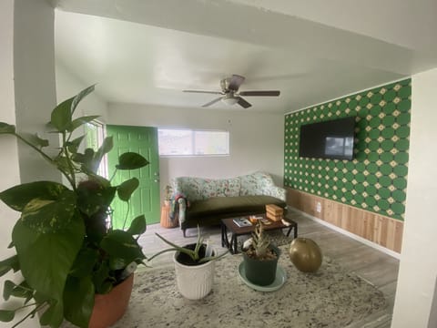 Step into an indoor garden themed home “Little Green Garden”