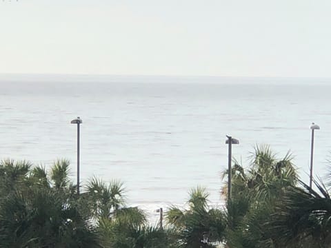 Ocean View 