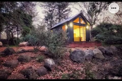 Banksia Mount Macedon