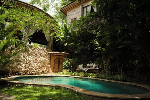 Outdoor pool, sun loungers