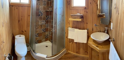 Shower, rainfall showerhead, towels, soap