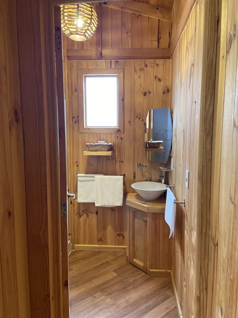 Shower, rainfall showerhead, towels, soap