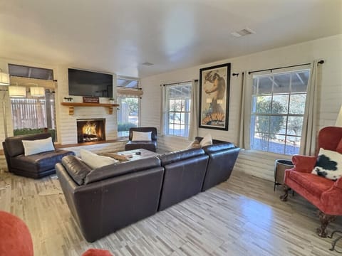 Light Filled Living Room