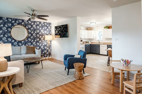 Roku TV + sectional sleeper sofa