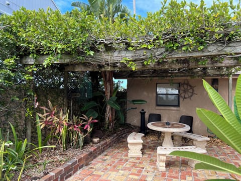 Fig covered patio with tropical landscaping.