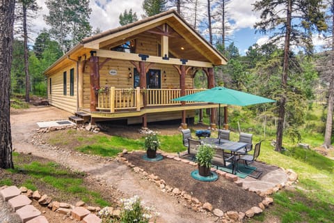 Conifer Vacation Rental | 3BR | 2BA | Stairs Required | 1,000 Sq Ft
