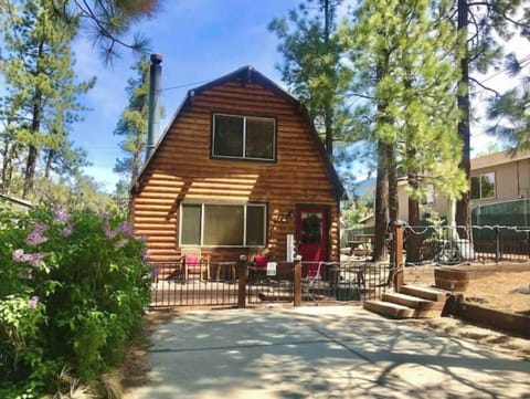 Lil cozy cabin with 2 driveways